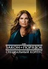Закон и порядок. Специальный корпус (1999) — постер